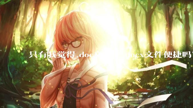 只有我觉得.doc文件比.docx文件便捷吗？