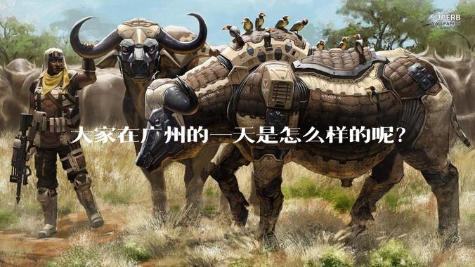 大家在广州的一天是怎么样的呢？