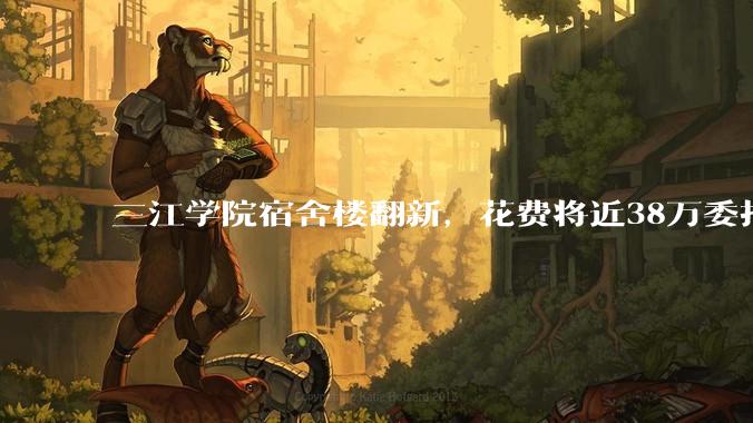 三江学院宿舍楼翻新，花费将近38万委托公司搬运行李，结果只有一个阿姨挑着扁担搬运行李，如何评价？