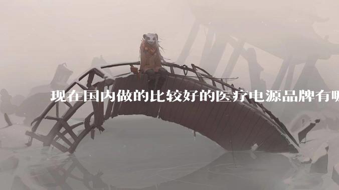 现在国内做的比较好的医疗电源品牌有哪些？