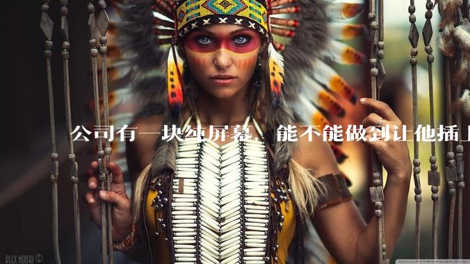 公司有一块纯屏幕，能不能做到让他插上u盘就自动播放里面的***?