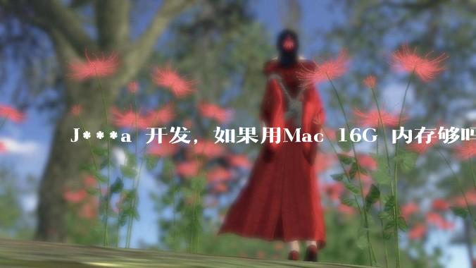 J***a 开发, 如果用Mac 16G 内存够吗?