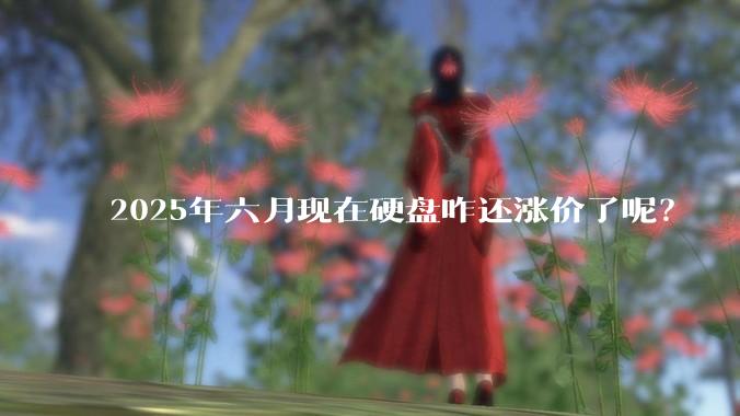 2025年六月现在硬盘咋还涨价了呢？