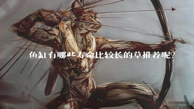 鱼缸有哪些寿命比较长的草推荐呢？