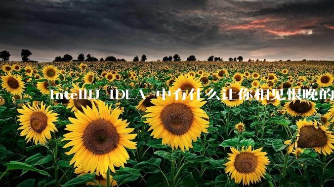 IntelliJ IDEA 中有什么让你相见恨晚的技巧？