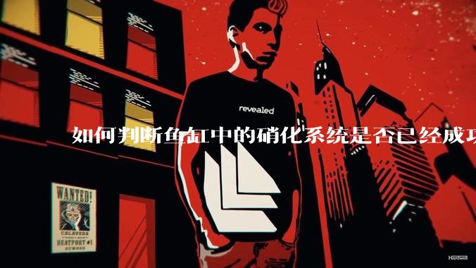 如何判断鱼缸中的硝化系统是否已经成功建立？
