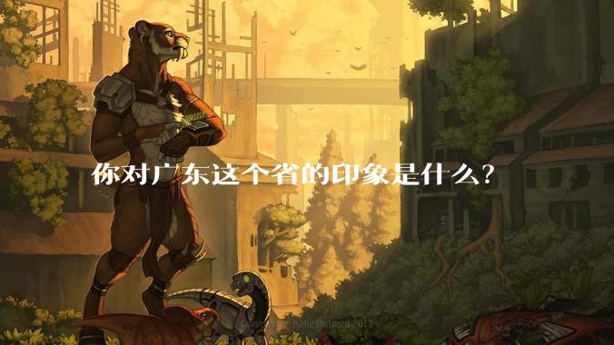 你对广东这个省的印象是什么？