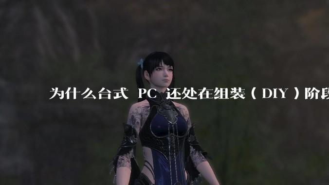 为什么台式 PC 还处在组装（DIY）阶段？