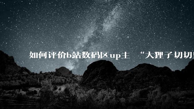 如何评价b站数码区up主 “大狸子切切里”?