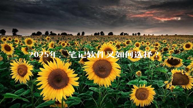 2025年，笔记软件又如何选择?