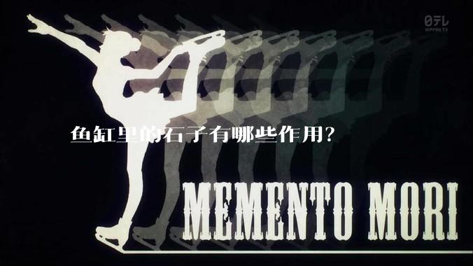 鱼缸里的石子有哪些作用？