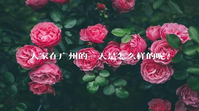 大家在广州的一天是怎么样的呢？