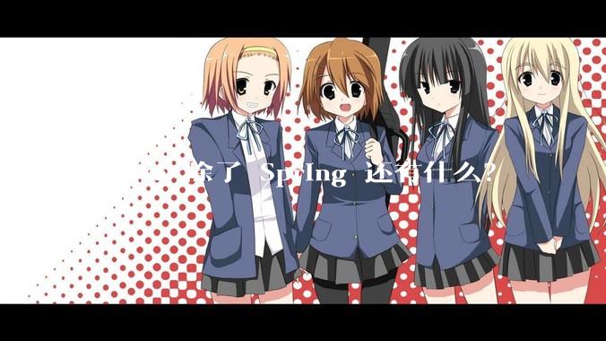 J***a 除了 Spring 还有什么？