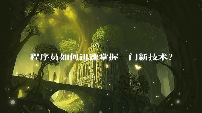 程序员如何迅速掌握一门新技术？