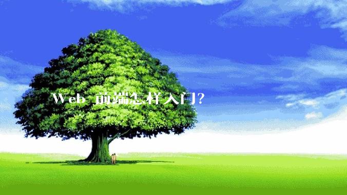 Web 前端怎样入门？
