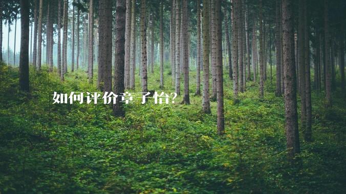 如何评价章子怡？