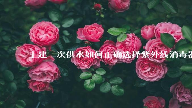 土建二次供水如何正确选择紫外线消毒器？