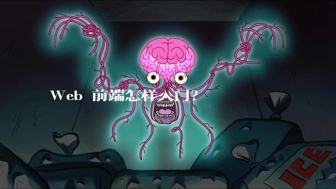 Web 前端怎样入门？