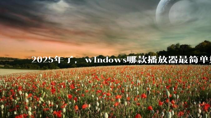 2025年了，windows哪款播放器最简单好用？