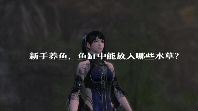 新手养鱼，鱼缸中能放入哪些水草？