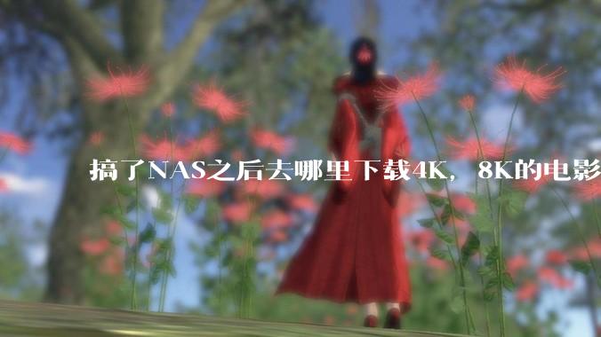 搞了NAS之后去哪里下载4K，8K的电影？