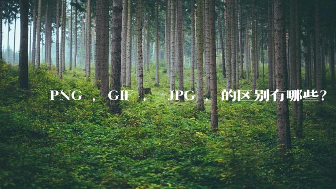 PNG ，GIF ， JPG ，的区别有哪些？