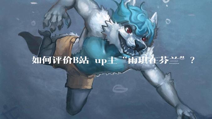 如何评价B站 up主“雨琪在芬兰”？