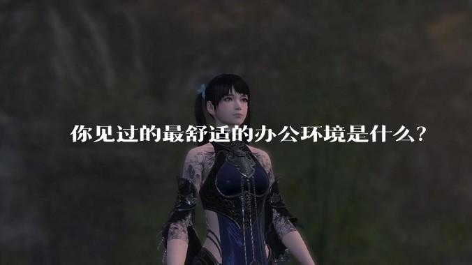 你见过的最舒适的办公环境是什么？