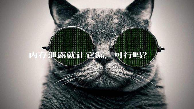 内存泄露就让它漏，可行吗？