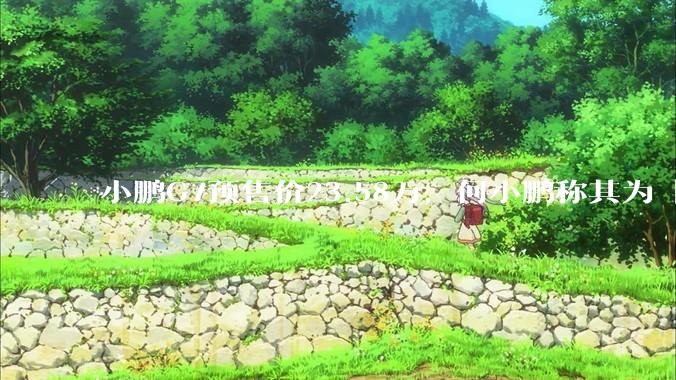 小鹏G7预售价23.58万，何小鹏称其为「全球首款L3级算力的AI汽车」，何为L3级算力？竞争力如何？