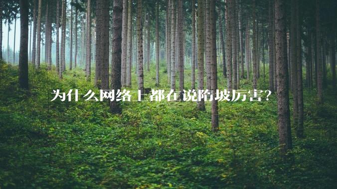 为什么网络上都在说隋坡厉害？