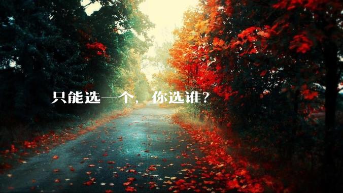 只能选一个，你选谁？