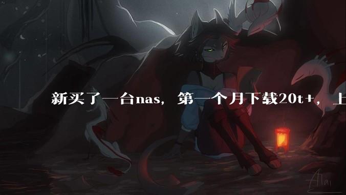 新买了一台nas，第一个月下载20t+，上传5+，不会被网警盯上吧?