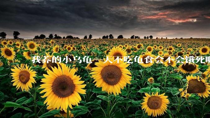 我养的小乌龟一天不吃龟食会不会饿死呢？