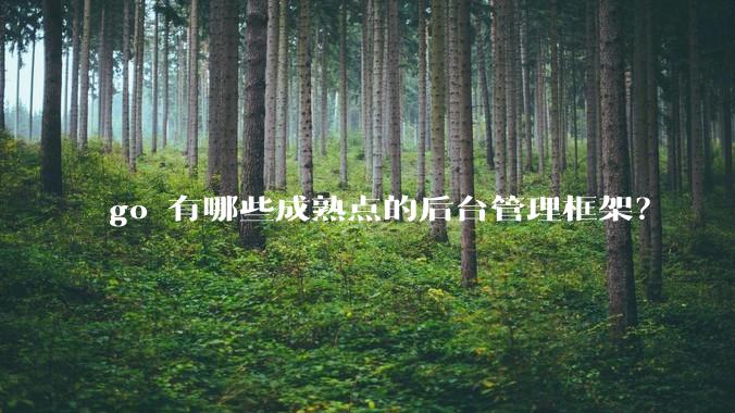 go 有哪些成熟点的后台管理框架？