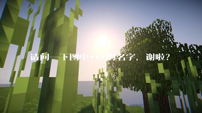 请问一下图中***的名字，谢啦？