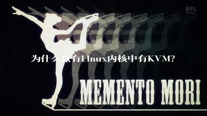 为什么只有Linux内核中有KVM？