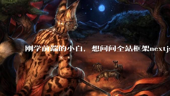 刚学前端的小白，想问问全站框架nextjs+shadcn+prisma为什么在国内不火呢？