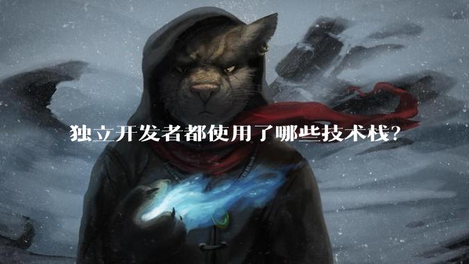 独立开发者都使用了哪些技术栈？