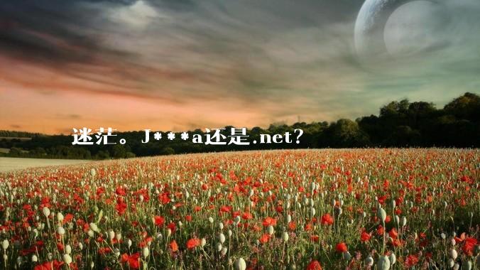 迷茫。J***a还是.net？