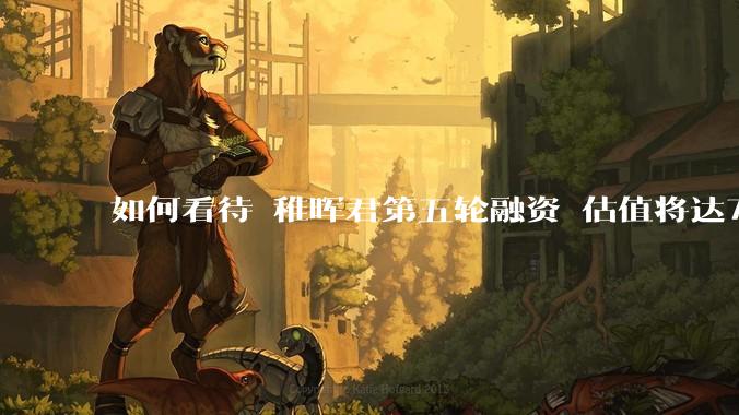 如何看待 稚晖君第五轮融资 估值将达70亿？
