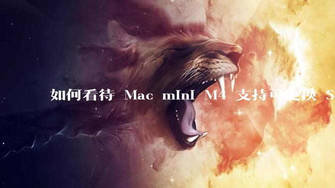 如何看待 Mac mini M4 支持可更换 SSD？