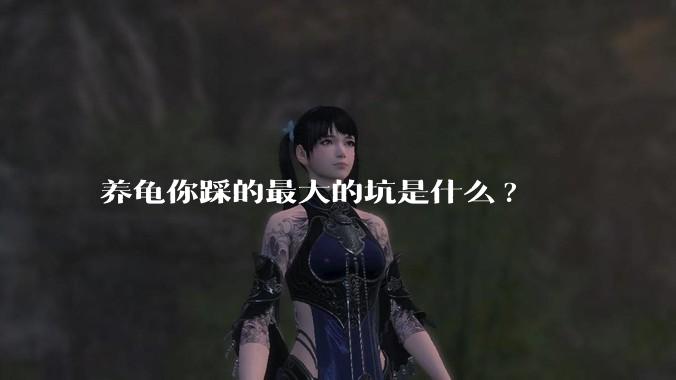 养龟你踩的最大的坑是什么?