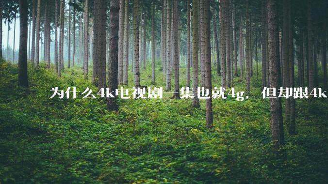 为什么4k电视剧一集也就4g，但却跟4k原盘电影100g看起来差不多清晰？