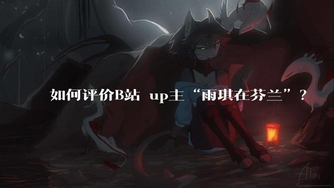 如何评价B站 up主“雨琪在芬兰”？