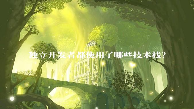 独立开发者都使用了哪些技术栈？