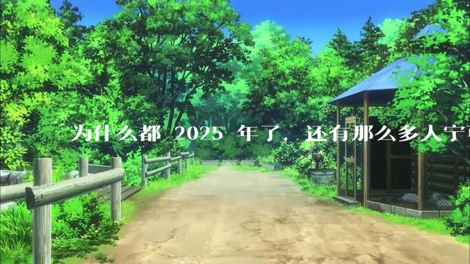 为什么都 2025 年了，还有那么多人宁可双持，也不愿意放弃安卓或非安卓手机？