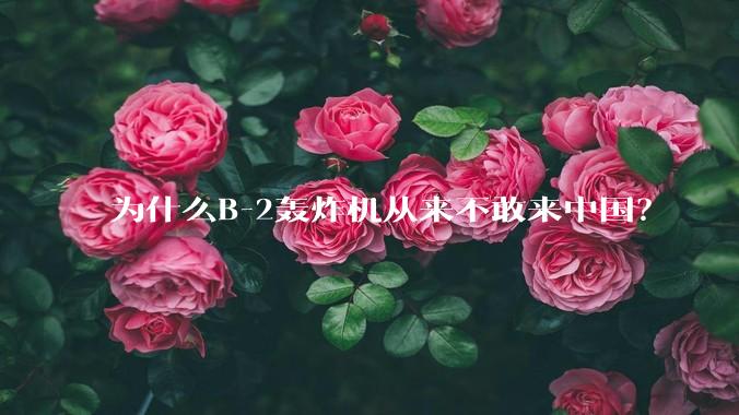 为什么B-2轰炸机从来不敢来中国？