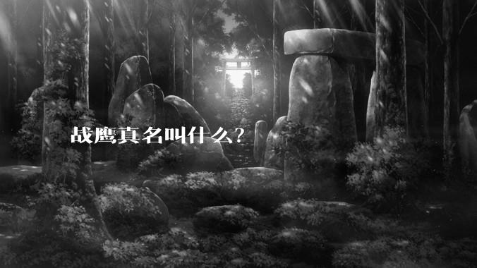 战鹰真名叫什么？