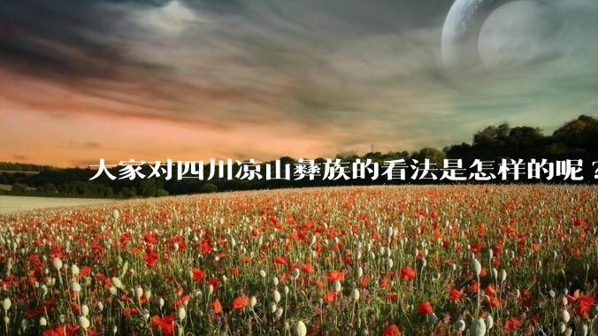 大家对四川凉山彝族的看法是怎样的呢?